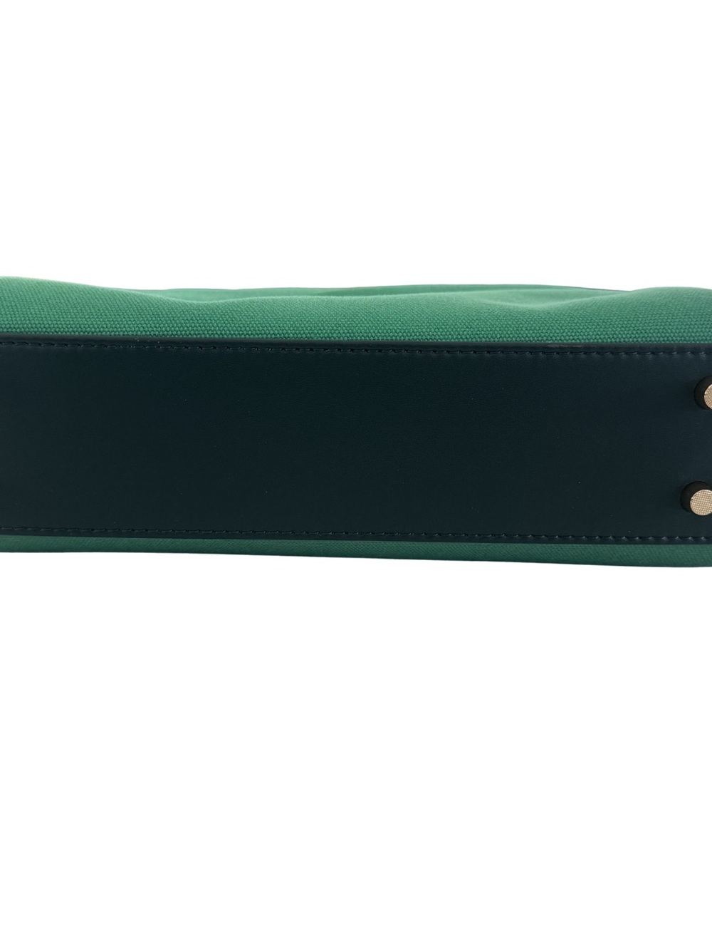 GUNAS New York Oasis Green Leopard Vegan Canvas Bag NWT $195 Sold Out Online - Picture 6 of 13